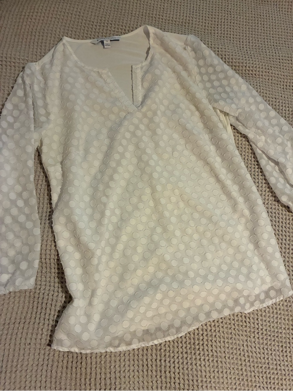 41 Hawthorn Ivory Dot-Texture Long Sleeve V-Neck Top, Small